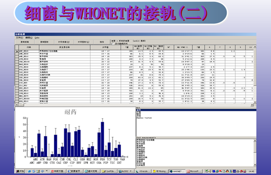 蒲道检验信息系统